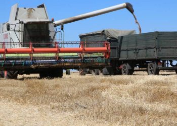 Ucrania no podrá exportar cereal por sus puertos al menos en seis meses