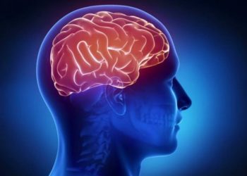 Un estudio revela cómo el cerebro detecta que ha cometido un error