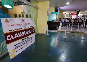 Da miedo que el Gobierno de Veracruz no tenga idea de la magnitud del problema y empiecen los torpes manejos del acuario: González