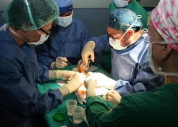 Personas recuperadas de COVID-19 pueden donar y ser receptoras de órganos y tejidos