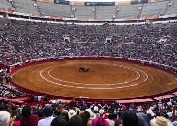 Advierten pérdida económica por cancelación de corridas de toros en CDMX
