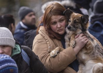 Hasta 8 millones de desplazados internos por la guerra en Ucrania