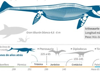 Encuentran el primer fósil completo de un ictiosaurio