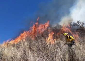 Incendios forestales devastan más de 5,000 hectáreas entre Sonora y Chihuahua