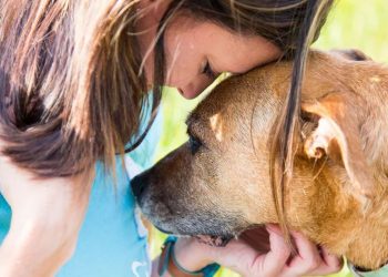 Autoridades sanitarias europeas llaman a poner en cuarentena a mascotas de personas contagiadas de viruela del mono