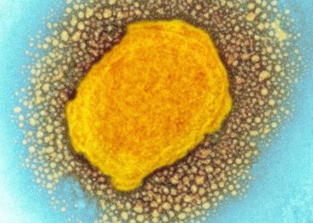 Alemania confirma su primer caso de viruela del mono