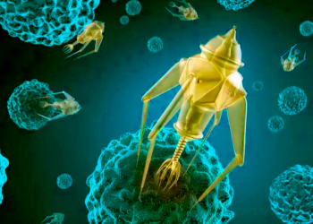 Desarrollan nanorrobots para tratar las infecciones bacterianas