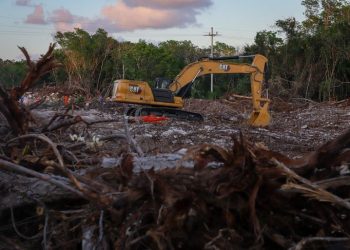 Estamos rescatando el agua de Quintana Roo porque son incapaces de tomarse en serio los estudios ambientales: Urbina