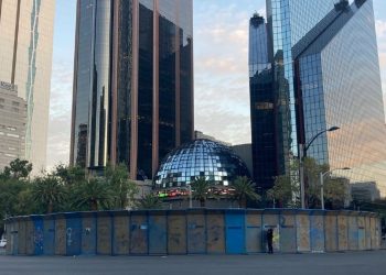 ¿Ya votaste por el árbol que te gustaría sustituya la Palma de Reforma?