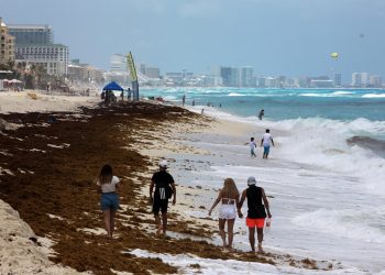 El sargazo invade de nuevo al Caribe mexicano