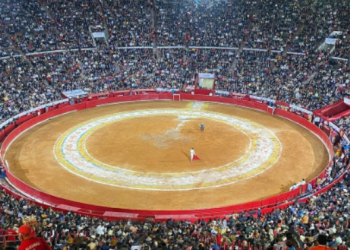 Juez suspende temporalmente corridas de toros en Plaza México