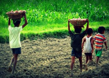 La OIT inicia en Sudáfrica un foro global para acabar con el trabajo infantil