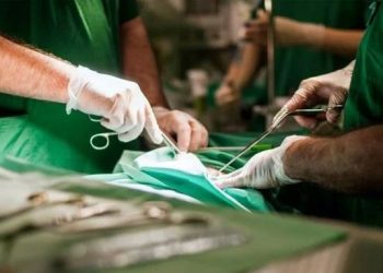 Trasplantan con éxito un hígado conservado durante tres días fuera del cuerpo