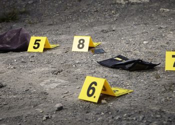 No solo ha aumentado la violencia sino la crueldad con la que se ejerce: Ahumada