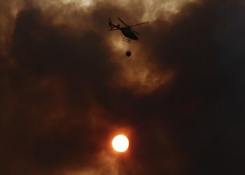 Gran incendio quema 20 mil hectáreas en España por ola de calor