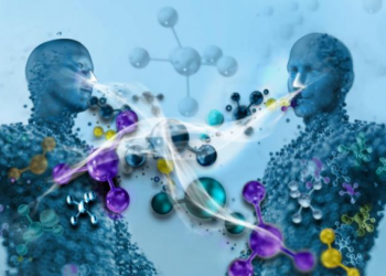 Los humanos buscamos amigos con un olor corporal parecido al nuestro