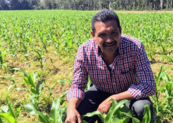 Exige PT liberar a alcalde electo del municipio Jesús Carranza, detenido injustamente en Veracruz, como preso político