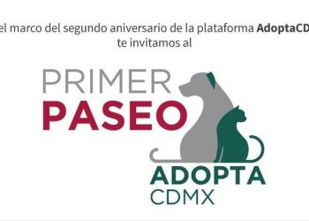 Te invitamos al Primer Paseo AdoptaCDMX; habrá pasarela de mascotas