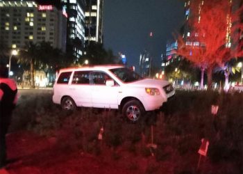 Ahuehuete de Reforma sin daños mayores tras choque de camioneta