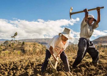 Estamos entrando en una crisis de alimentos y este tema no se tiene en el radar: Garza