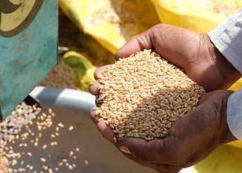 Actual crisis alimentaria puede ser una catástrofe en 2023, advierte la ONU