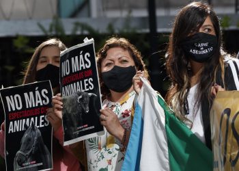 Activistas piden freno definitivo a las corridas de toros en la Plaza México