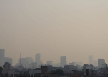 Las partículas tóxicas del aire pueden ir directas del pulmón al cerebro