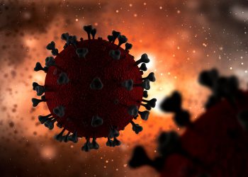 Faltan elementos clave para entender cómo empezó la pandemia de COVID 19, declara la OMS