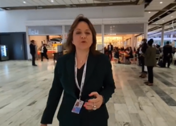 México necesita un plan de transición energética: Martha Delgado