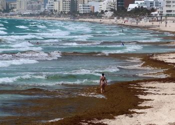 Sargazo en Caribe mexicano es “muy diferente” a otros años, dicen autoridades