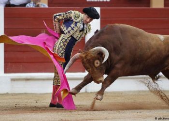 Debate: Tauromaquia ¿arte o maltrato animal?