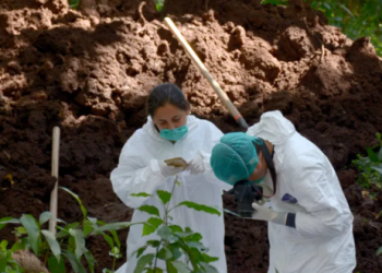 Suman 14 cuerpos los encontrados en fosas clandestinas en Michoacán