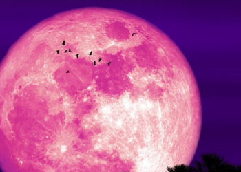 Súper luna de fresa marcará el inicio del verano, te damos los detalles