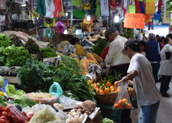 Autoridades buscan minimizar los espacios populares de abasto