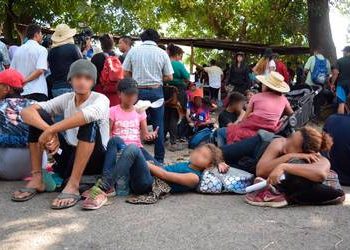 México está haciendo el trabajo sucio de EUA; somos el muro de Trump: Álvarez Icaza