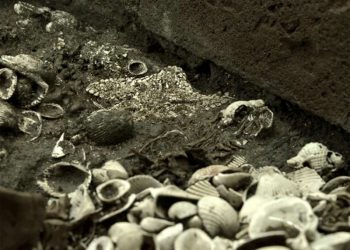 Descubren los sepulcros de cuatro niños azteca en la CDMX