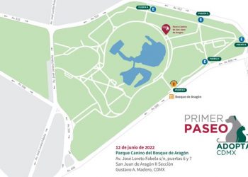 ¡Es hoy, es hoy! El primer Paseo AdoptaCDMX