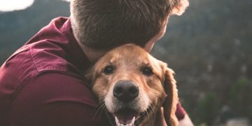 Genética da pistas de cómo el perro se convirtió en nuestro mejor amigo