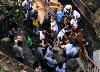 Cesan a 4 funcionarios de Cuernavaca por colapso de puente colgante
