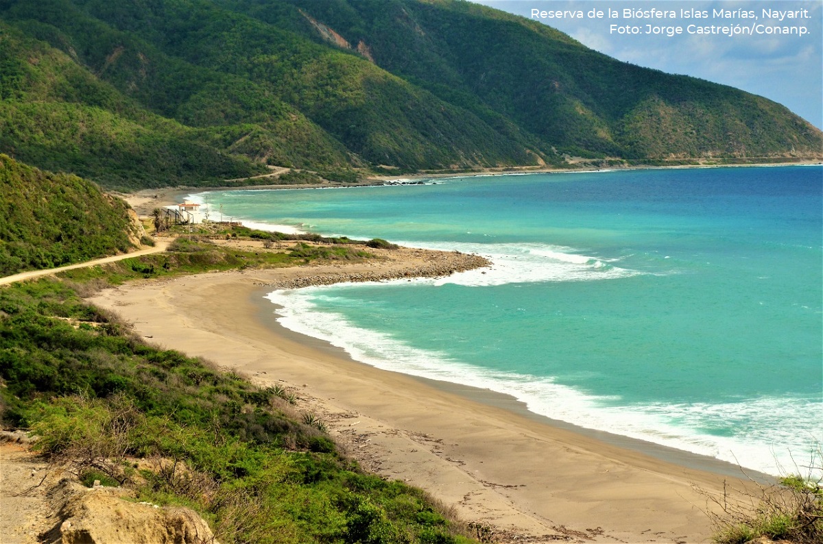 En tres meses estará lista la Reserva de la Biosfera Islas Marías Enfoque Noticias En tres meses estará lista la Reserva de la Biosfera Islas Marías Enfoque Noticias