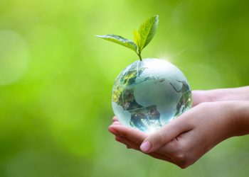 Un 44 % de la Tierra debe ser conservada para preservar la biodiversidad