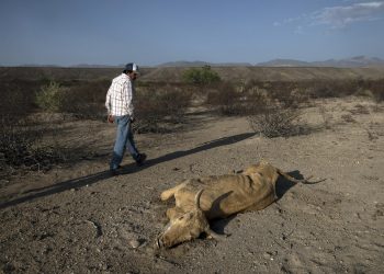 Conagua declara emergencia por sequía severa o extrema