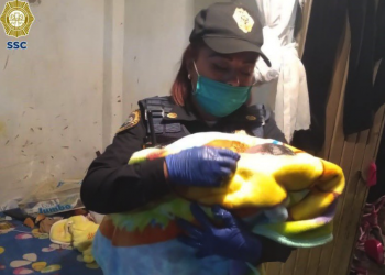 Durante el primer semestre del año la policía capitalina auxilió a 21 mujeres en labor de parto 