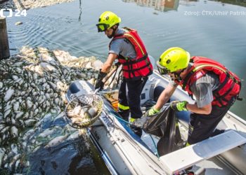 Toneladas de peces mueren en río checo por falta de oxígeno