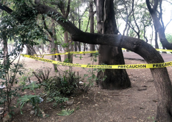 Decapitan y crucifican a perro en parque de la CDMX