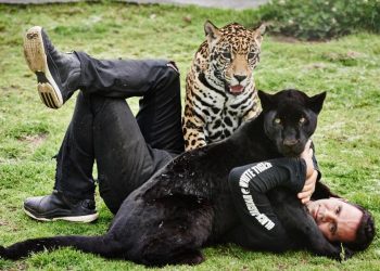 Amplían denuncia contra Eduardo Serio por tráfico de especies y delitos contra la biodiversidad