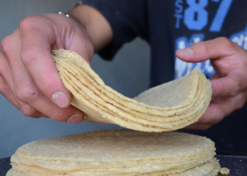 Le pido a la población que nos entienda, porque viene un incremento al precio de la tortilla