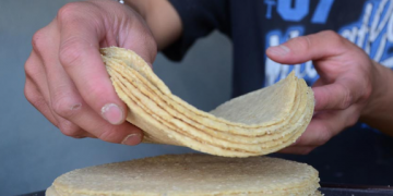 SADER y PROFECO descartan alzas al precio de la tortilla y llaman a no atender versiones falsas sobre costos del maíz y la harina