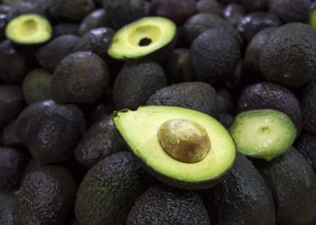 Estados Unidos autoriza el ingreso de aguacate del estado mexicano de Jalisco