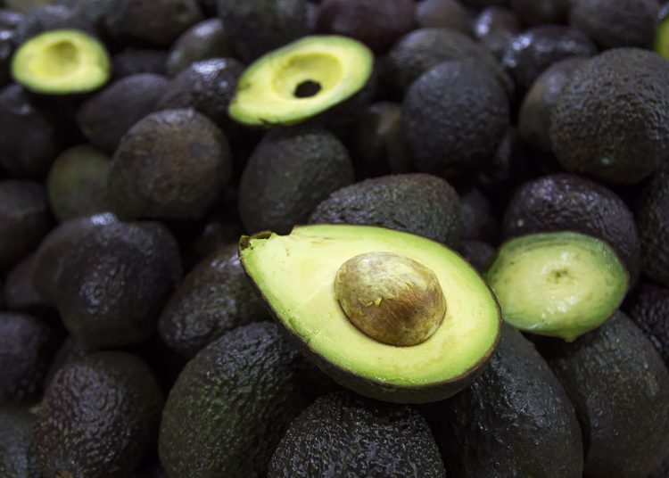 CIUDAD DE MÉXICO, 04JULIO2016.- El kilo de aguacate, producto básico en la alimentación mexicana, sufrió un aumento de hasta cincuenta por ciento en los últimos meses, llegando a venderse hasta en 40 pesos el kilo en el mercado de la Merced. 
FOTO: ISAAC ESQUIVEL /CUARTOSCURO.COM